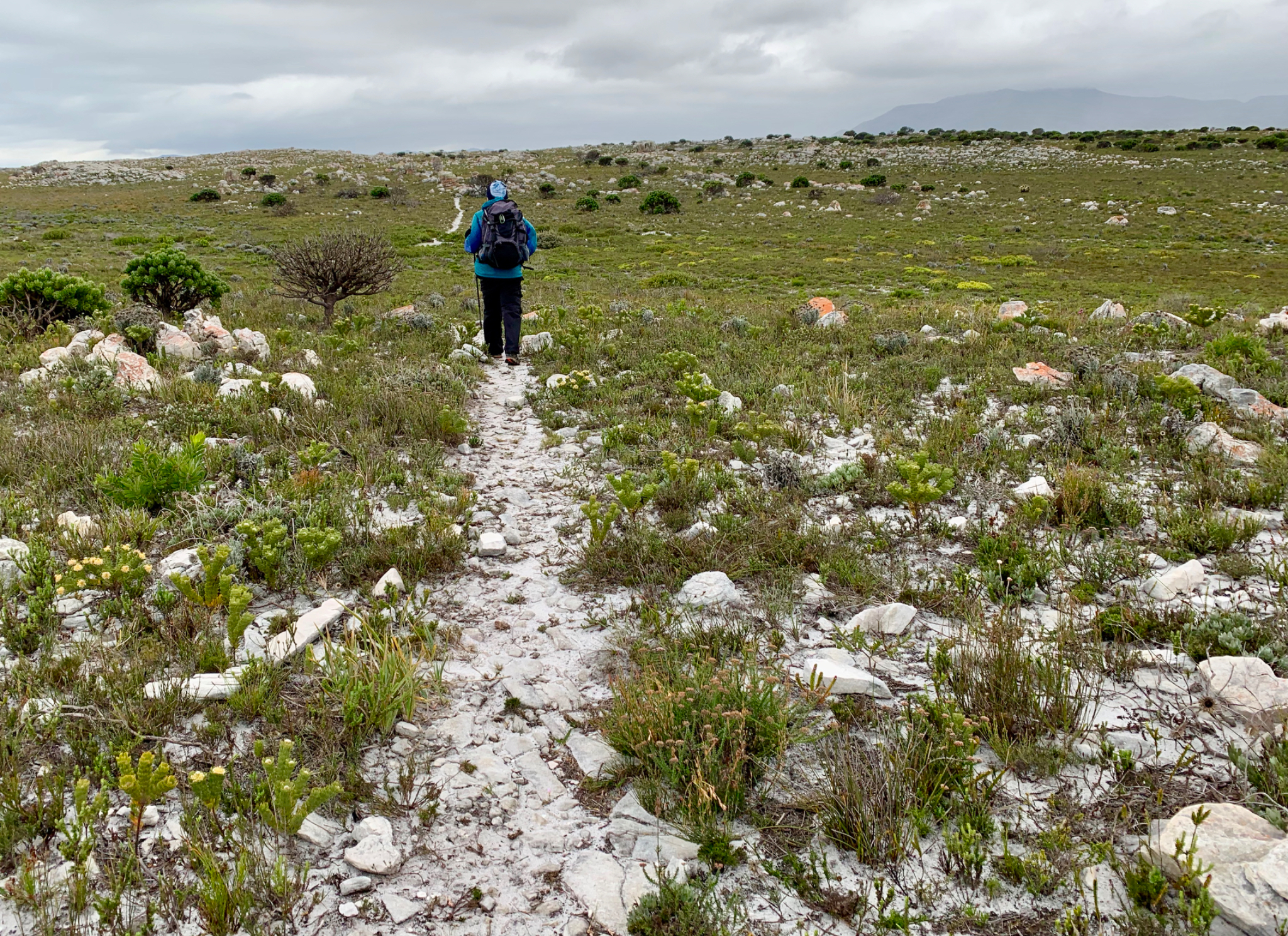 Walking on top of Table Mountain 1